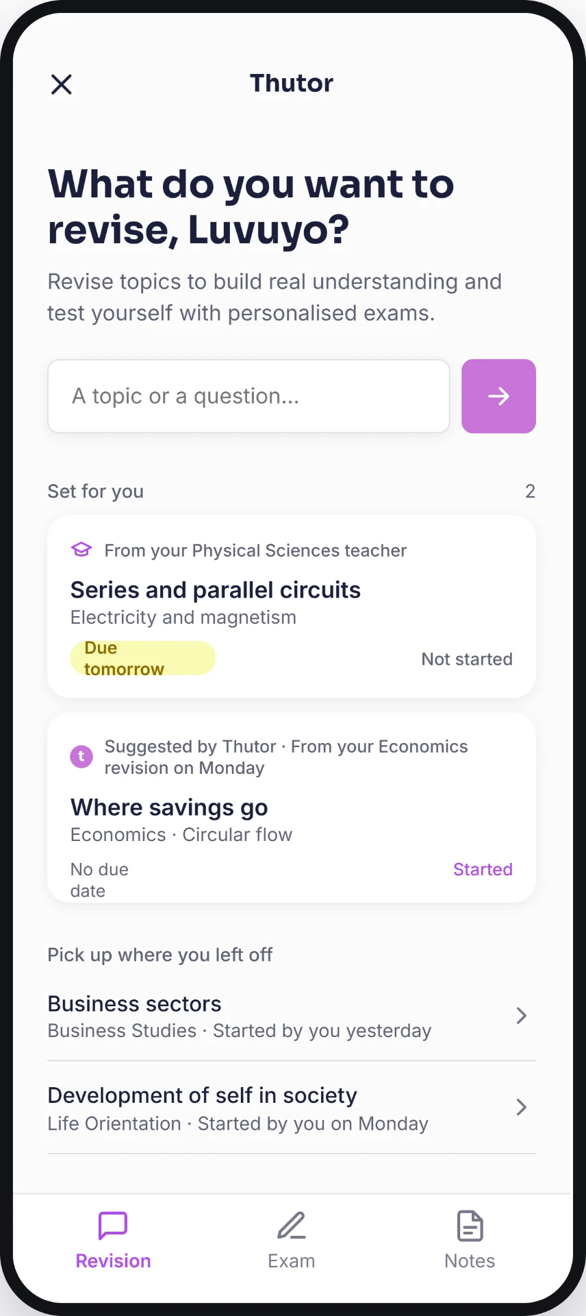 Thutor Revision: a learner talking a topic through with Thutor